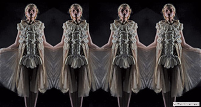 Fashion Design Society